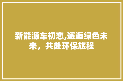 新能源车初恋,邂逅绿色未来，共赴环保旅程 汽车配件