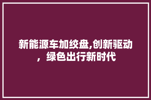 新能源车加绞盘,创新驱动，绿色出行新时代