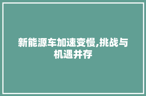 新能源车加速变慢,挑战与机遇并存