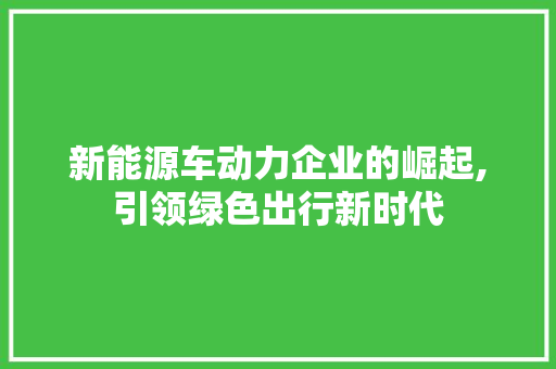 新能源车动力企业的崛起,引领绿色出行新时代
