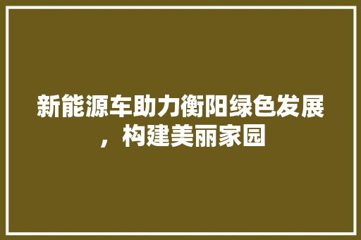 新能源车助力衡阳绿色发展，构建美丽家园