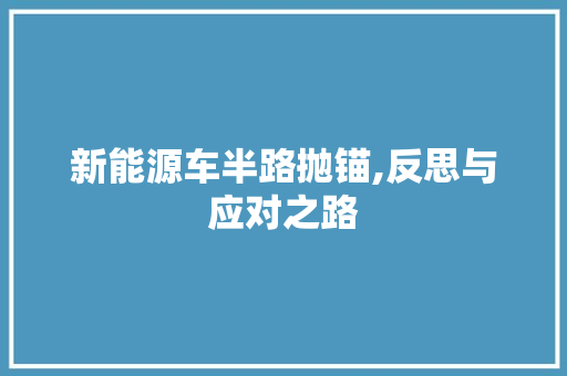 新能源车半路抛锚,反思与应对之路