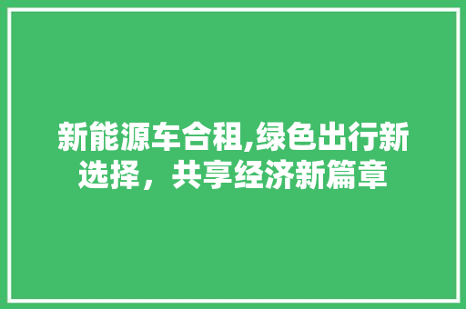 新能源车合租,绿色出行新选择，共享经济新篇章