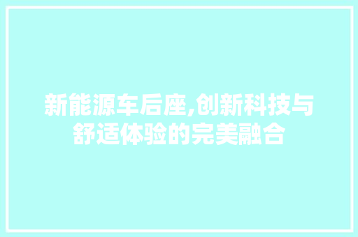 新能源车后座,创新科技与舒适体验的完美融合