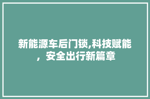 新能源车后门锁,科技赋能，安全出行新篇章