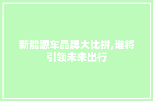 新能源车品牌大比拼,谁将引领未来出行
