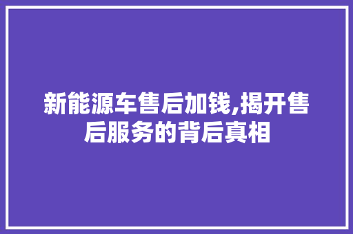新能源车售后加钱,揭开售后服务的背后真相