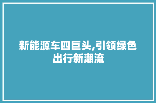 新能源车四巨头,引领绿色出行新潮流
