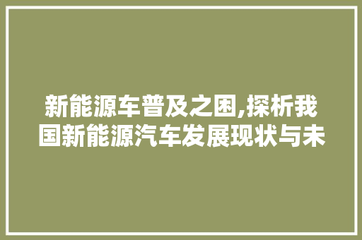 新能源车普及之困,探析我国新能源汽车发展现状与未来