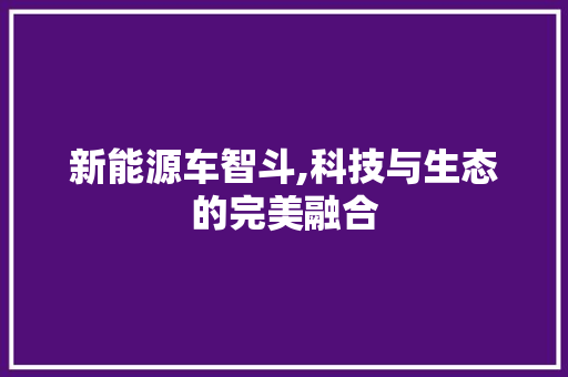新能源车智斗,科技与生态的完美融合 混合动力车