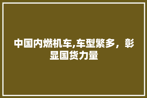 中国内燃机车,车型繁多，彰显国货力量