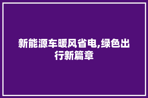 新能源车暖风省电,绿色出行新篇章