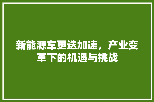 新能源车更迭加速，产业变革下的机遇与挑战