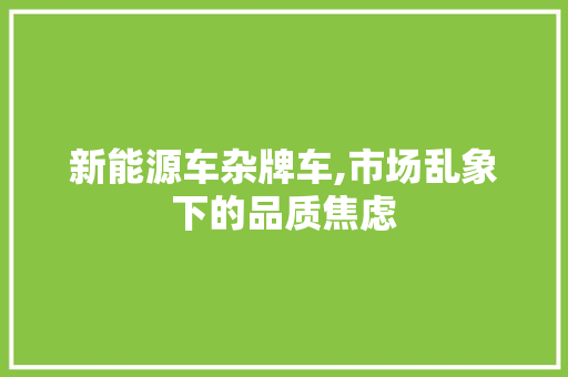 新能源车杂牌车,市场乱象下的品质焦虑 车型评测