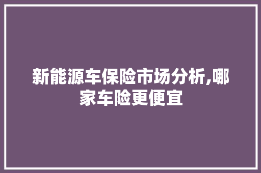新能源车保险市场分析,哪家车险更便宜 车联网技术