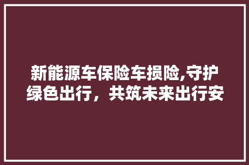 新能源车保险车损险,守护绿色出行，共筑未来出行安全防线