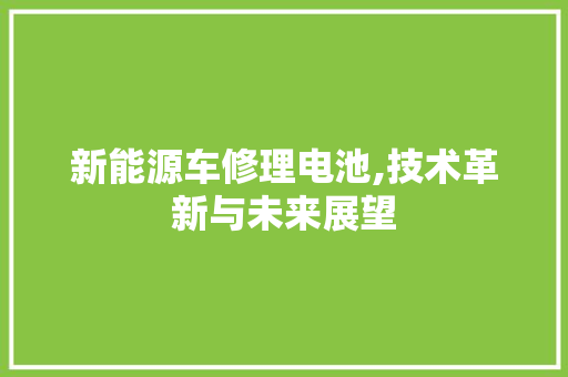 新能源车修理电池,技术革新与未来展望