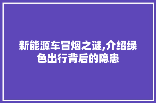 新能源车冒烟之谜,介绍绿色出行背后的隐患