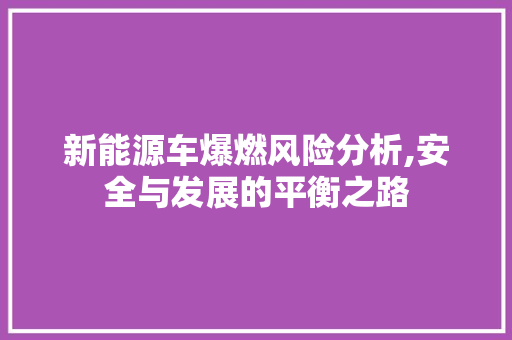 新能源车爆燃风险分析,安全与发展的平衡之路