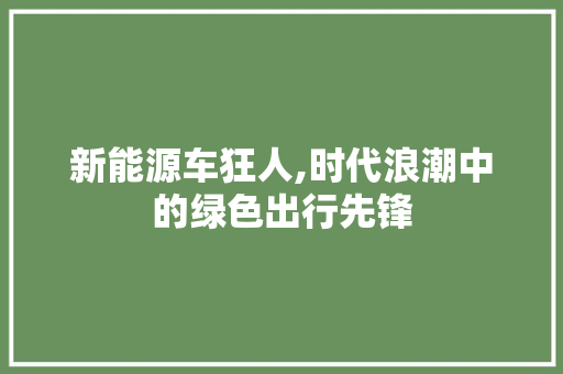 新能源车狂人,时代浪潮中的绿色出行先锋