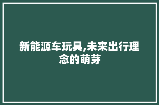 新能源车玩具,未来出行理念的萌芽