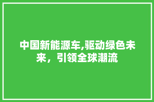 中国新能源车,驱动绿色未来，引领全球潮流 智能驾驶