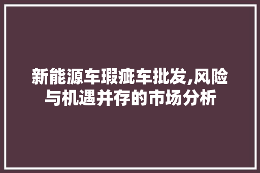 新能源车瑕疵车批发,风险与机遇并存的市场分析