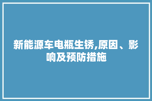 新能源车电瓶生锈,原因、影响及预防措施