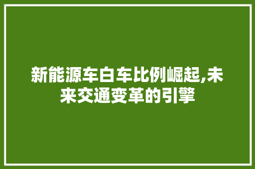 新能源车白车比例崛起,未来交通变革的引擎