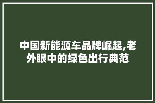 中国新能源车品牌崛起,老外眼中的绿色出行典范 新能源汽车