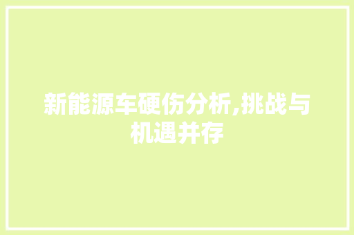 新能源车硬伤分析,挑战与机遇并存 车型评测