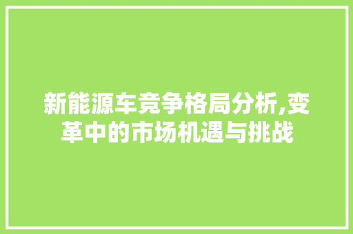 新能源车竞争格局分析,变革中的市场机遇与挑战 车载导航