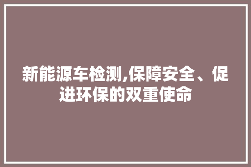 新能源车检测,保障安全、促进环保的双重使命