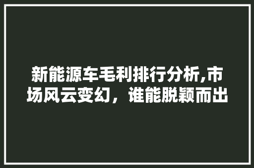 新能源车毛利排行分析,市场风云变幻，谁能脱颖而出