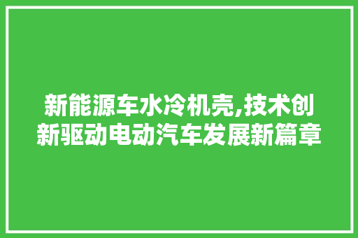 新能源车水冷机壳,技术创新驱动电动汽车发展新篇章