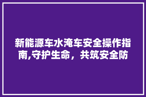 新能源车水淹车安全操作指南,守护生命，共筑安全防线