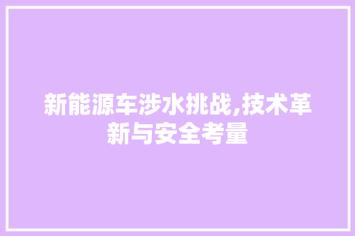 新能源车涉水挑战,技术革新与安全考量