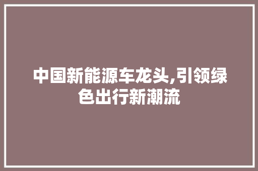 中国新能源车龙头,引领绿色出行新潮流 汽车配件