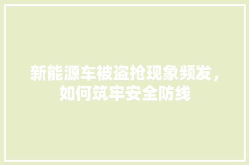 新能源车被盗抢现象频发，如何筑牢安全防线