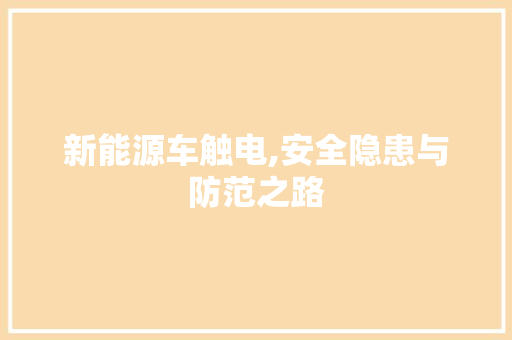 新能源车触电,安全隐患与防范之路