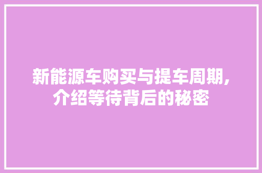 新能源车购买与提车周期,介绍等待背后的秘密