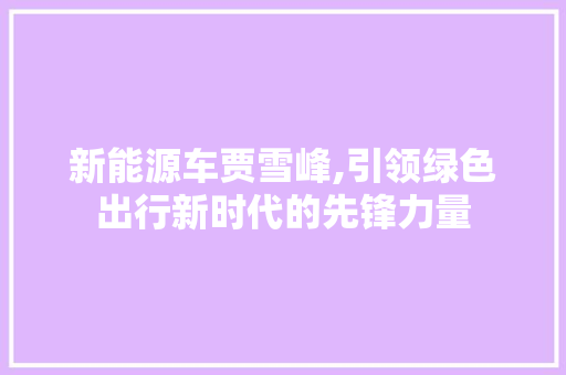 新能源车贾雪峰,引领绿色出行新时代的先锋力量 汽车轮胎