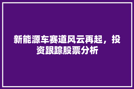 新能源车赛道风云再起，投资跟踪股票分析