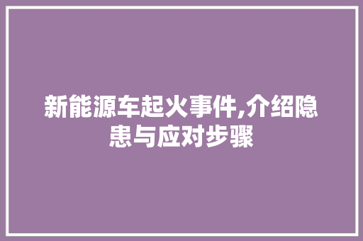 新能源车起火事件,介绍隐患与应对步骤