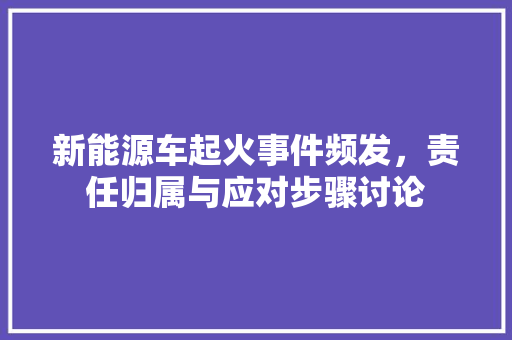 新能源车起火事件频发，责任归属与应对步骤讨论