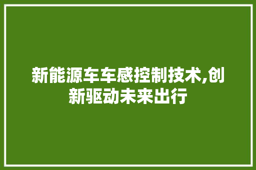 新能源车车感控制技术,创新驱动未来出行