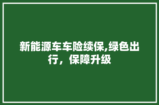 新能源车车险续保,绿色出行，保障升级
