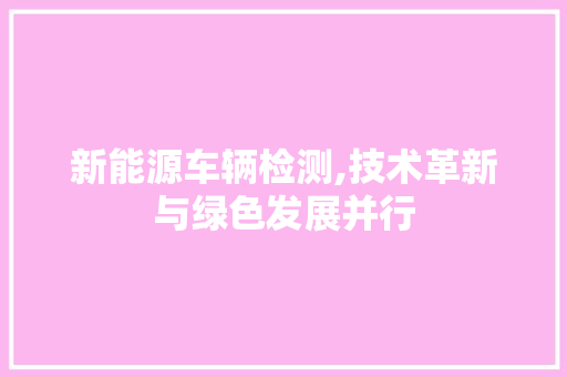 新能源车辆检测,技术革新与绿色发展并行