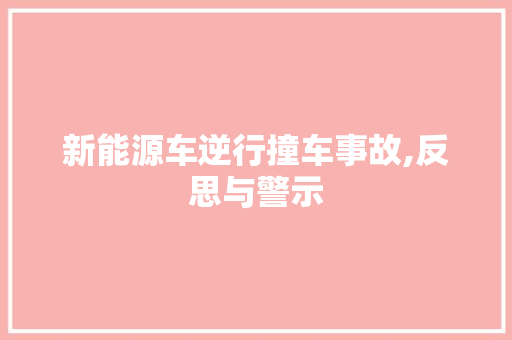 新能源车逆行撞车事故,反思与警示