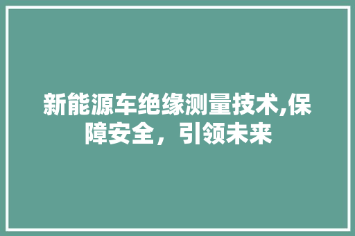新能源车绝缘测量技术,保障安全，引领未来